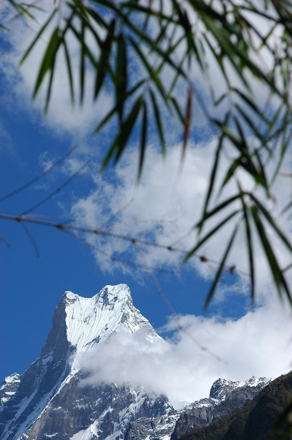 https://sapi.travelnepal.com.au/media/image/ABC8.jpg