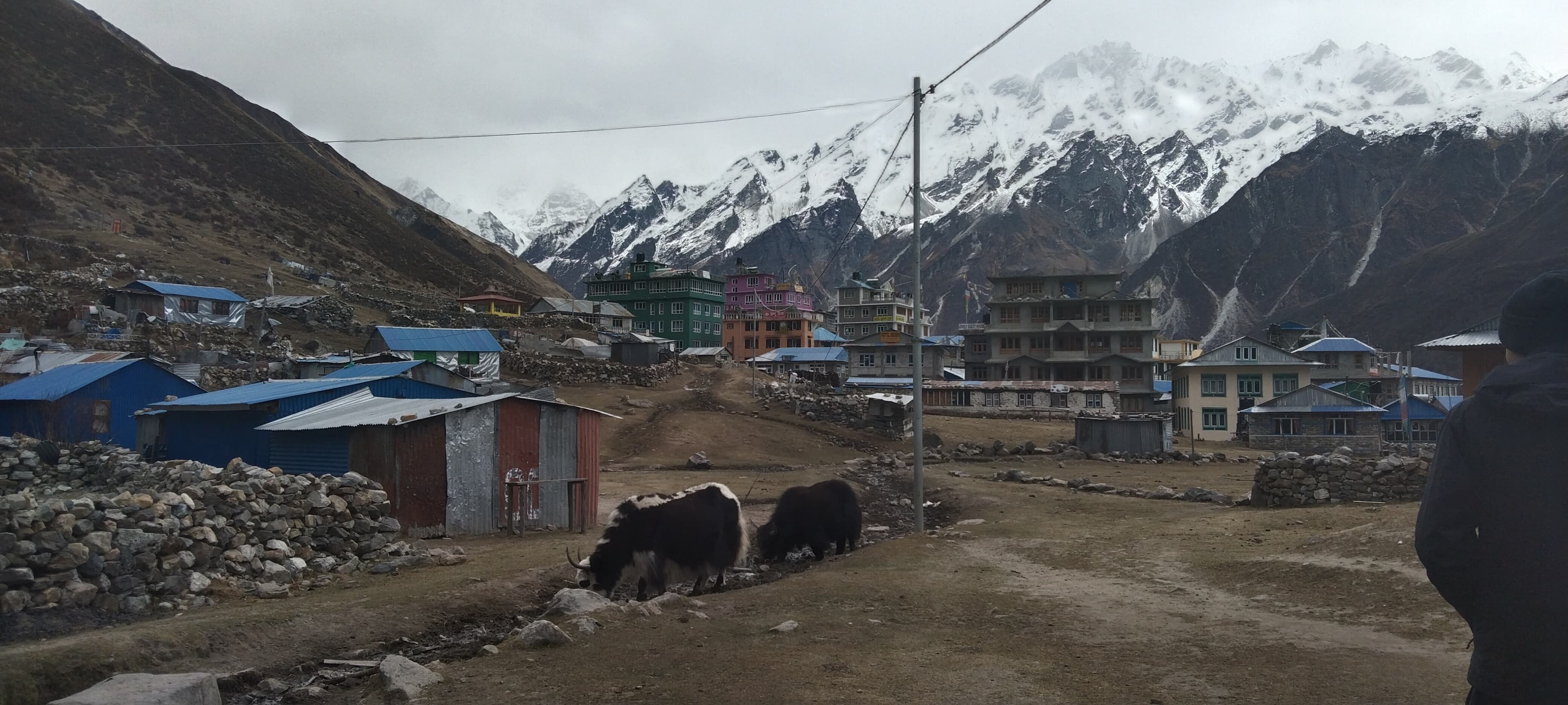 https://sapi.travelnepal.com.au/media/image/Kyanjing_village__by_Bhabi_raj_Gurung.jpg