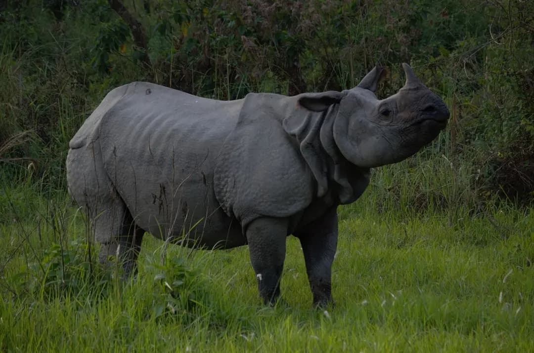 https://sapi.travelnepal.com.au/media/image/nnc9.webp